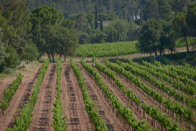 Abadal winery Landscape, nature and historical heritage