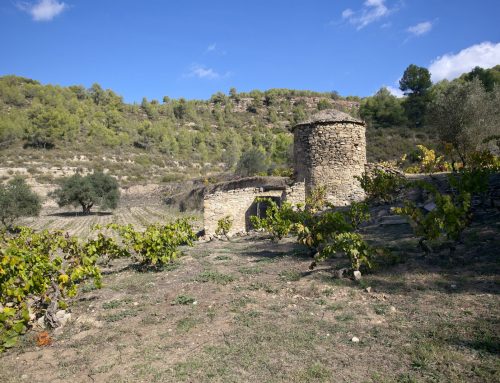 The international wine magazine Jancis Robinson highlights the wine tradition of our region, Pla de Bages, and the quality of its wines and wineries