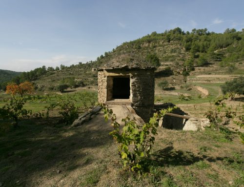 “Abadal Arboset, the great Catalan wine that originated from an abandoned  centenary dry stone vat”, El País