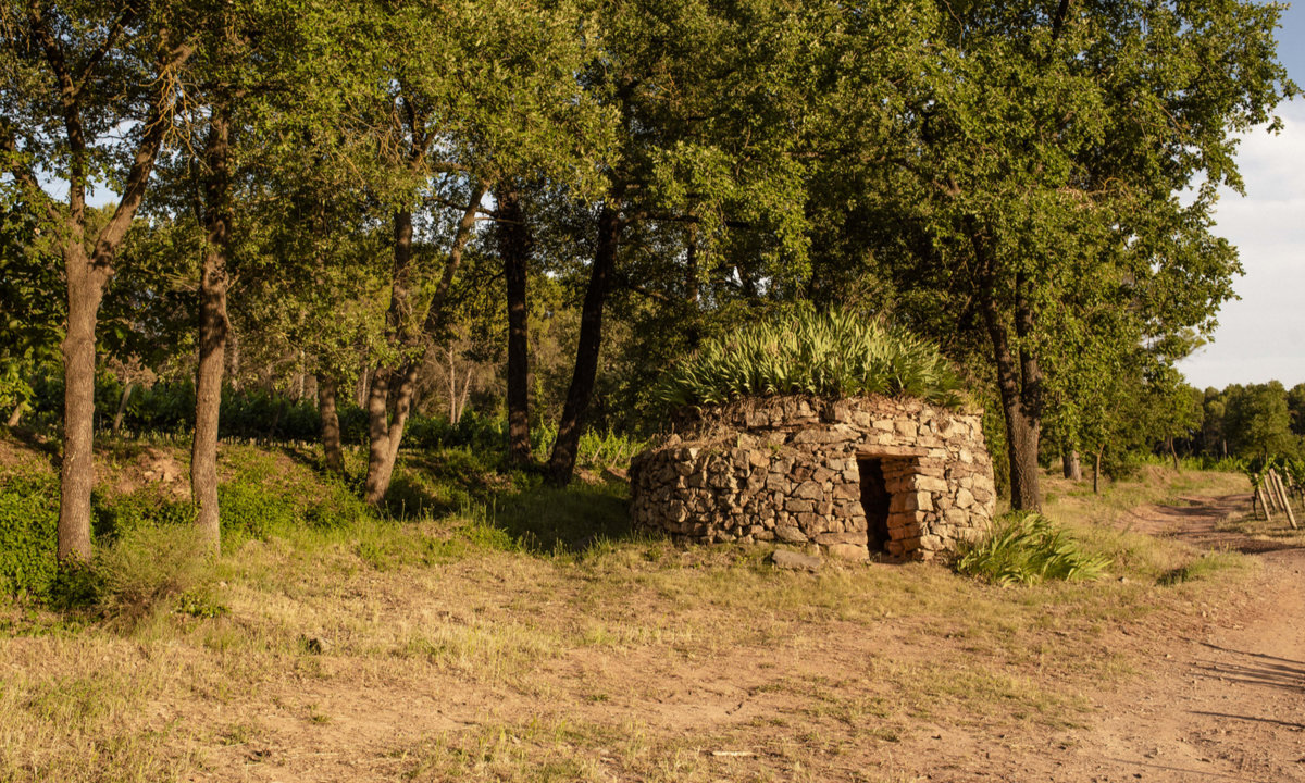 patrimoni pedra seca